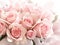 Embrace the Beauty of Light Pink Roses for a Timeless Floral Experience.