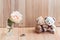 Embrace Couple Bear in love propose Engage ring