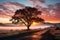 Embrace tree standing in misty sunrise, sunrise and sunset wallpaper