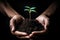 Embracing eco consciousness: hands cradling a young green seedling