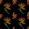 Embroidery Bird of Paradise flowers, tropical Strelitzia seamless