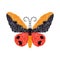 Embroidery butterfly. decoration design for clothing. isolated