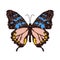 Embroidery butterfly design for clothing. insect vector