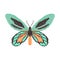 Embroidery butterfly design for clothing. isolated insect vector