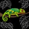 Embroidery chameleon fabric design