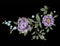 Embroidery colorful trend floral pattern with purple roses .