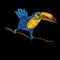 Embroidery. Embroidered design element - bird - toucan -in vinta