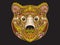 Embroidery ethnic patterned ornate head of brown bear.
