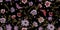 Embroidery ethnic seamless pattern with flowers and butterflies.