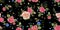 Embroidery ethnic seamless pattern with roses.