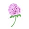 Embroidery purple rose design for clothing. isolated flower