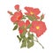 Embroidery wild roses, dogrose flowers. Classic style embroidery, beautiful dogrose pattern vector