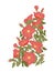 Embroidery wild roses, dogrose flowers. Classic style embroidery, beautiful dogrose pattern vector