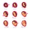 Embryo month stage growth pregnancy fetal development vector flat infographic icons