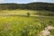 Emek Hashalom, The Peace valley, Nahal Shofet