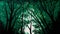 Emerald Canopy: A Minimalistic Depiction of Nature\\\'s Majesty, Made with Generative AI