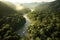 Emerald Canopy - The Vibrant Biodiversity of Rainforests