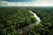 Emerald Canopy - The Vibrant Biodiversity of Rainforests