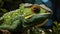 Emerald Emissary: Chameleon Close-Up