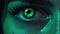 Emerald Gaze: Mesmerizing Green Glowing Eyes in the Night