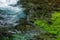 Emerald green flowing river water with seewead, abstract background