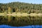 emerald-green lake Ober See near lake Alatsee on a fine autmn day in Bad Faulenbach (Fuessen, Bavaria in Germany)