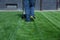 Emerald green lawn mowing landscape maintenance