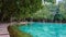 Emerald lake and Blue pool Krabi Thailand mangrove forest Krabi Thailand.