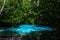 Emerald lake and Blue pool Krabi Thailand mangrove forest Krabi Thailand.