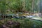 Emerald lake and Blue pool Krabi Thailand mangrove forest Krabi Thailand.