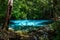 Emerald lake and Blue pool Krabi Thailand mangrove forest Krabi Thailand.