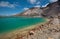 Emerald lakes. Tongariro crossing