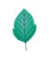 emerald leaf icon