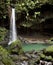 Emerald Pool, Dominica