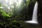 Emerald Pool, Dominica