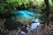 Emerald Pool. Krabi, Thailand