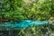 Emerald Pool Sra Morakot Blue Pool or Tha Pom Klong Song Nam at Krabi Province, Thailand.