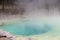 Emerald spring at Norris Geyser Basin