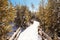 Emerald Spring at Norris Geyser Basin trail area, during winter in Yellowstone National Park, Wyoming