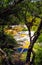 Emerald terrace: View through trees on colorful rainbow sinter terrace covered with