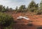 Emergency helipad, Sedona, Arizona