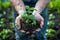 Emerging Life - Hands Holding Seedling in Soil