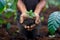 Emerging Life - Hands Holding Seedling in Soil