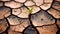 Emerging Resilience: Close-Up of a Young Plant Braving Dry Cracks in Fine-Grained Soil