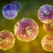 Emmonsia microscopic pathogenic fungi, 3D illustration