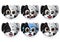 Emoji dogs vector set. Emoticons and emojis of puppy dog face in excited and scared mood and emotion isolated.