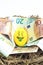 Emoji Easter egg with facial expression `I love money` placed on euro paper money
