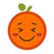 Emoji - enjoy orange with happy smile. Isolated vector.