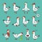 Emoji seagull vector set.