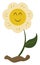 Emoji of a smiling yellow flower, vector or color illustration